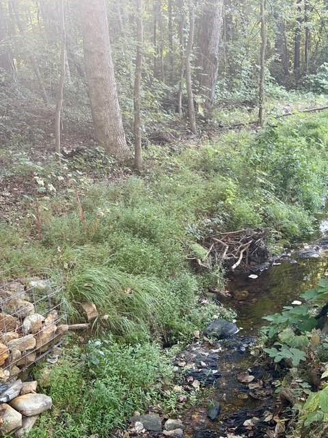 Vacant Land For Sale - Old Roanoke Road<br/> Carroll County, Bowdon, GA 30108