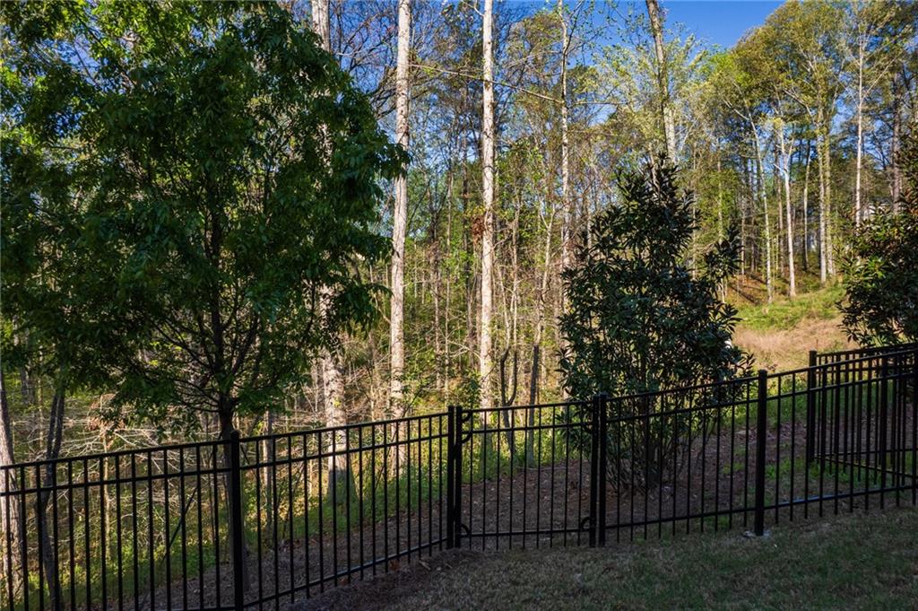 518 Scenic Pass, Woodstock, Georgia image 42
