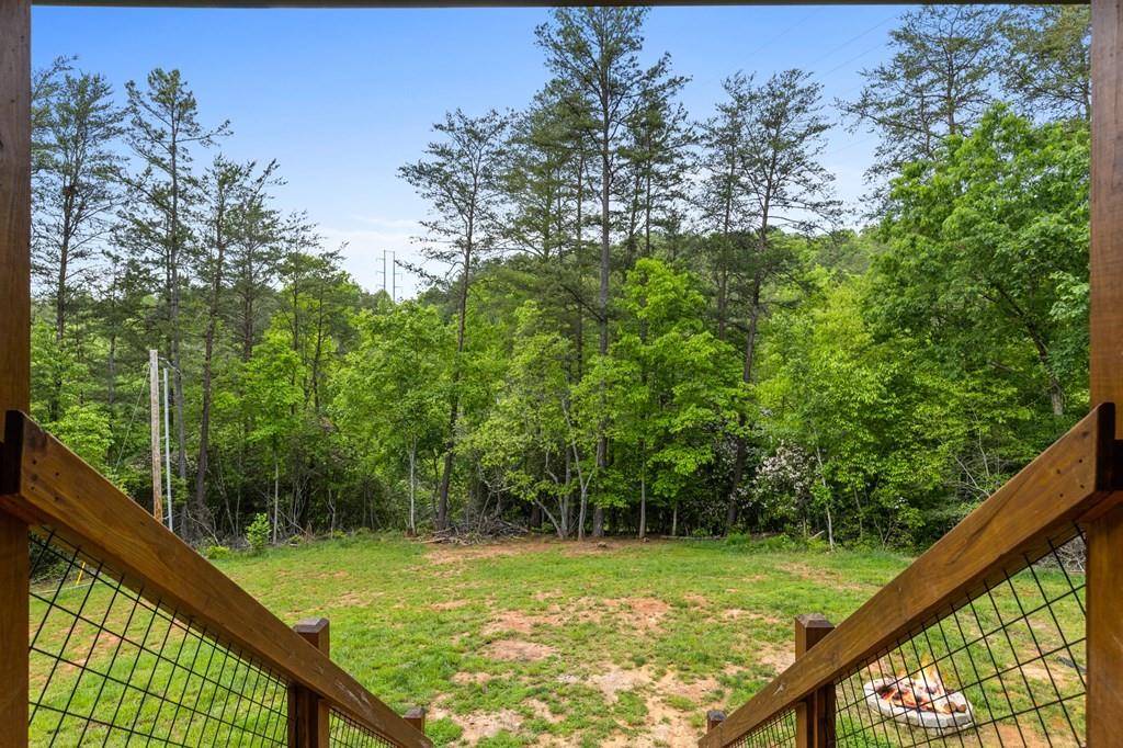 35 Indian Trace, Mineral Bluff, Georgia image 46