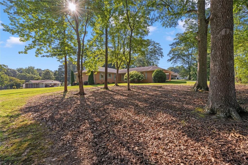 6312 Cornelia Drive