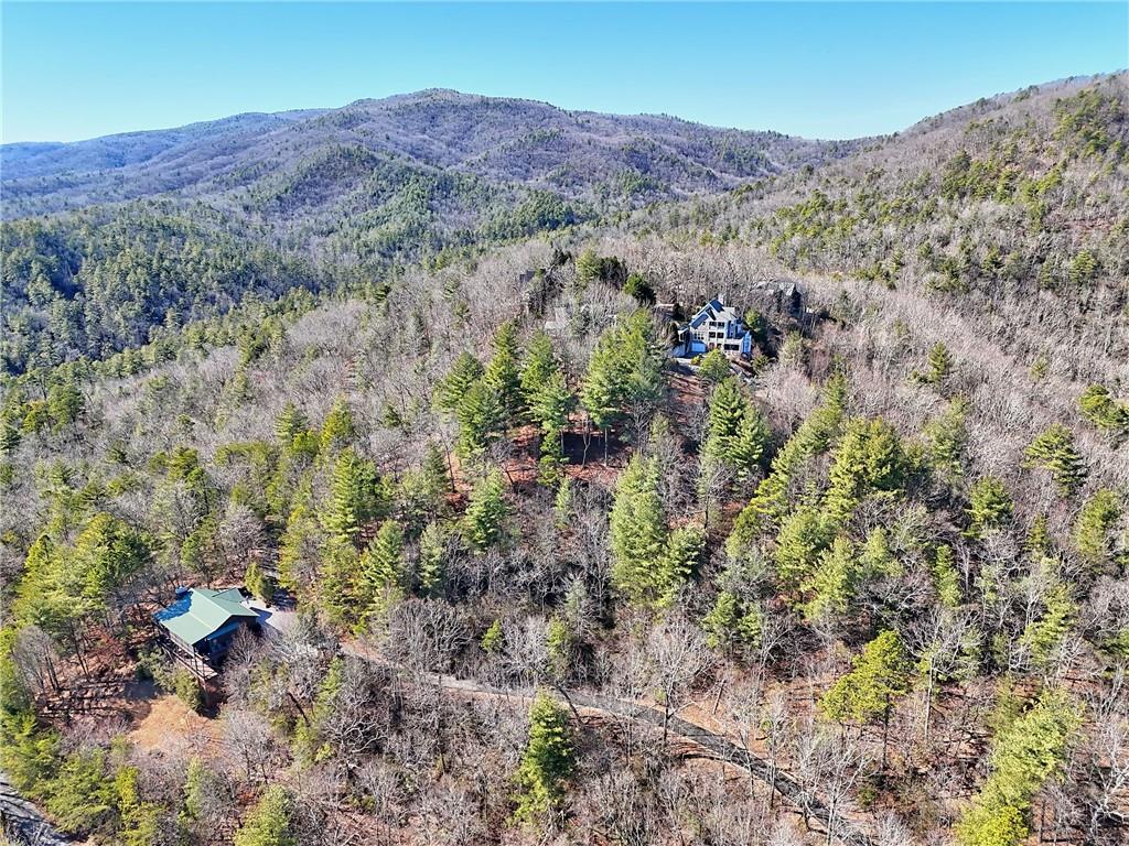 Rabun Bluffs Drive, Lakemont, Georgia image 4