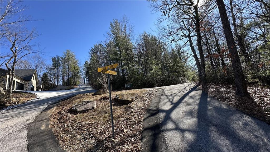Rabun Bluffs Drive, Lakemont, Georgia image 13