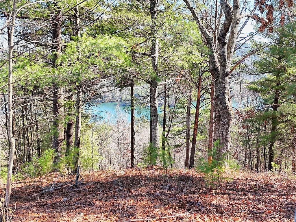 Rabun Bluffs Drive, Lakemont, Georgia image 8