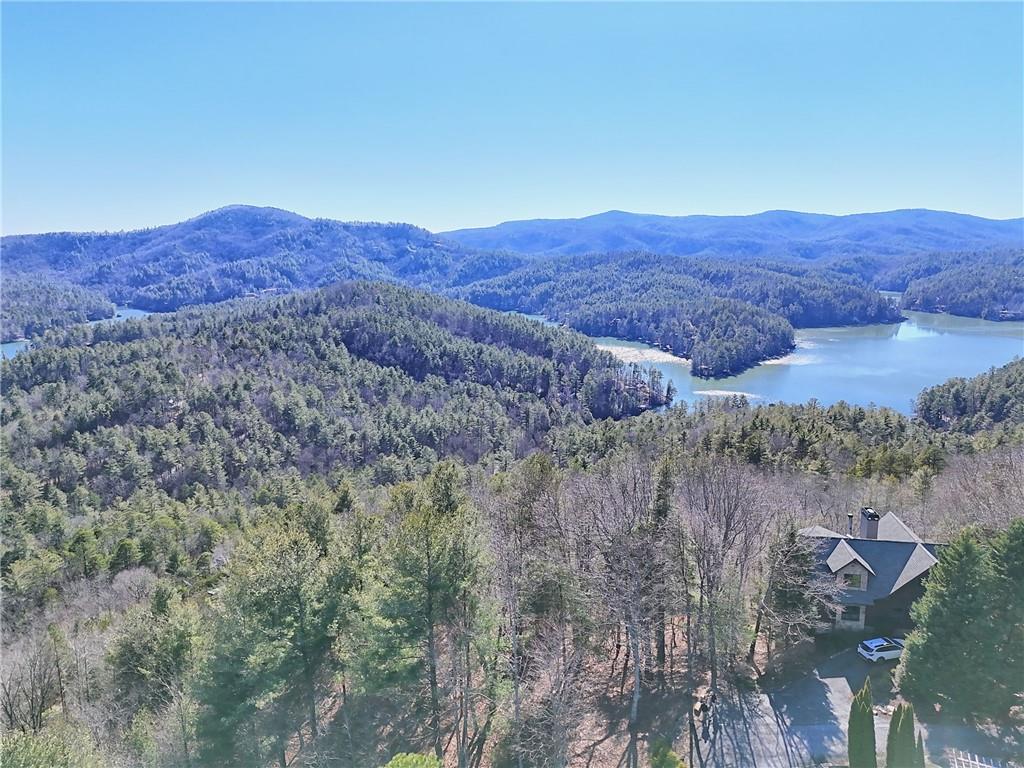 Rabun Bluffs Drive, Lakemont, Georgia image 11