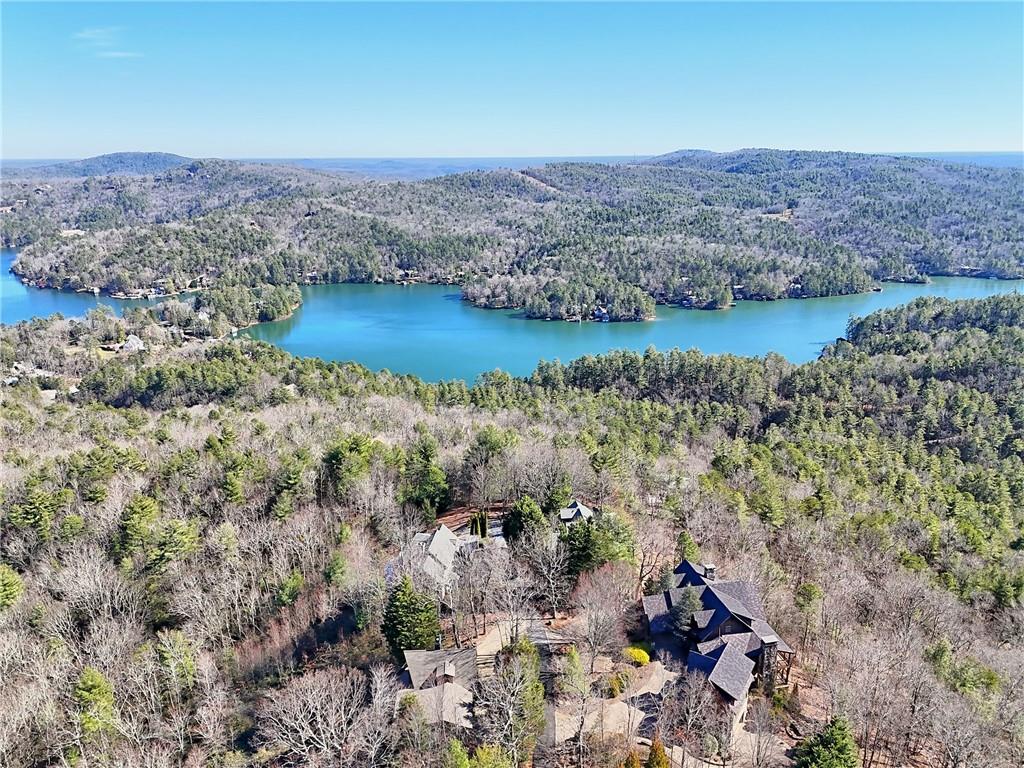 Rabun Bluffs Drive, Lakemont, Georgia image 6