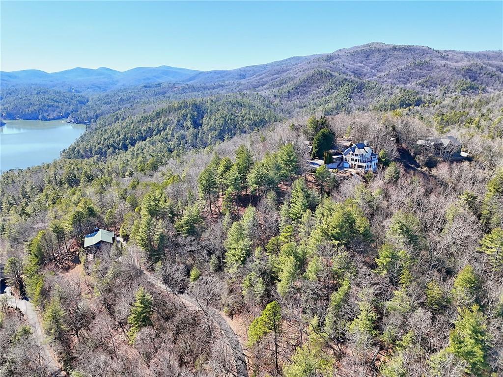 Rabun Bluffs Drive, Lakemont, Georgia image 5