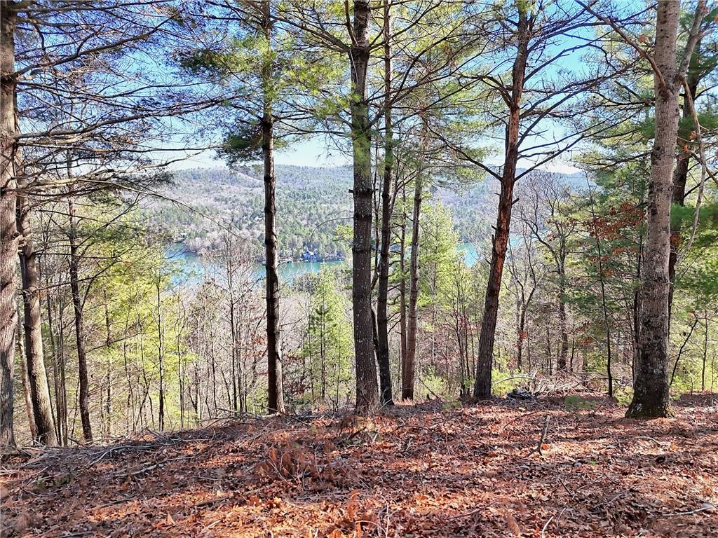 Rabun Bluffs Drive, Lakemont, Georgia image 9