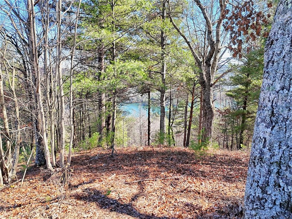Rabun Bluffs Drive, Lakemont, Georgia image 7
