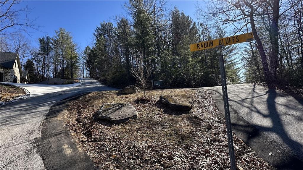 Rabun Bluffs Drive, Lakemont, Georgia image 12
