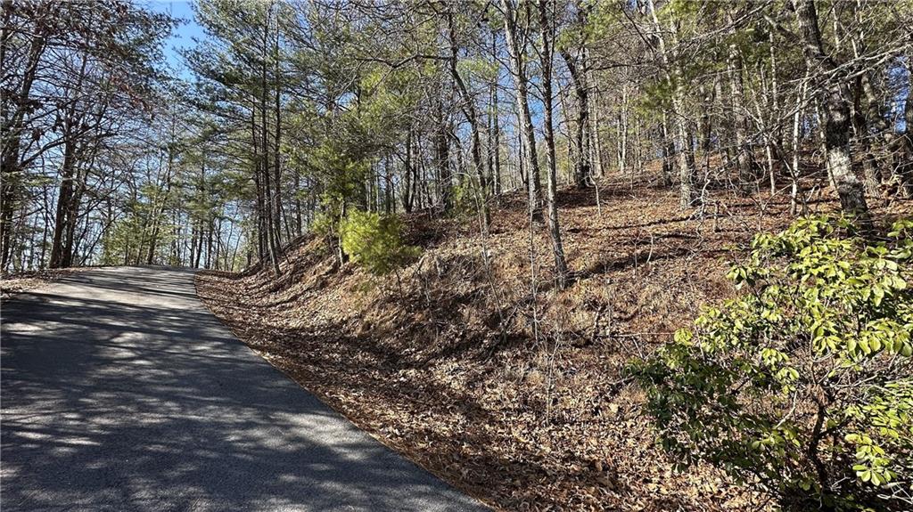 Rabun Bluffs Drive, Lakemont, Georgia image 2