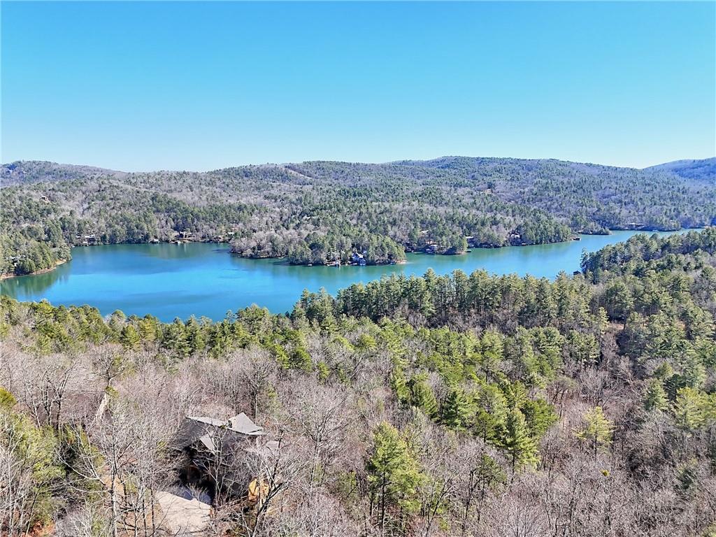 Rabun Bluffs Drive, Lakemont, Georgia image 10