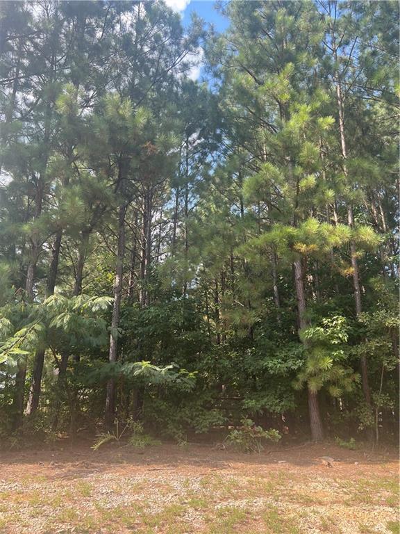 Fantastic opportunity to custom-build your dream home. Bring your plans and your vision. Seller does not have a soil test or plat.
Priced below appraised value.