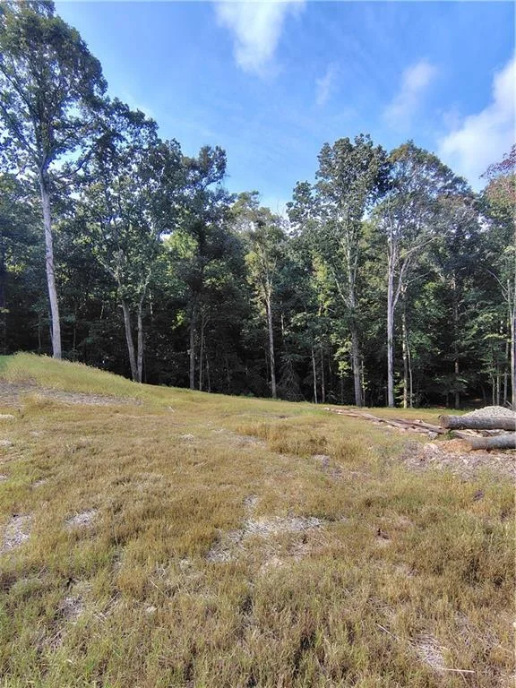 245 Brad St, Royston, GA, 30662