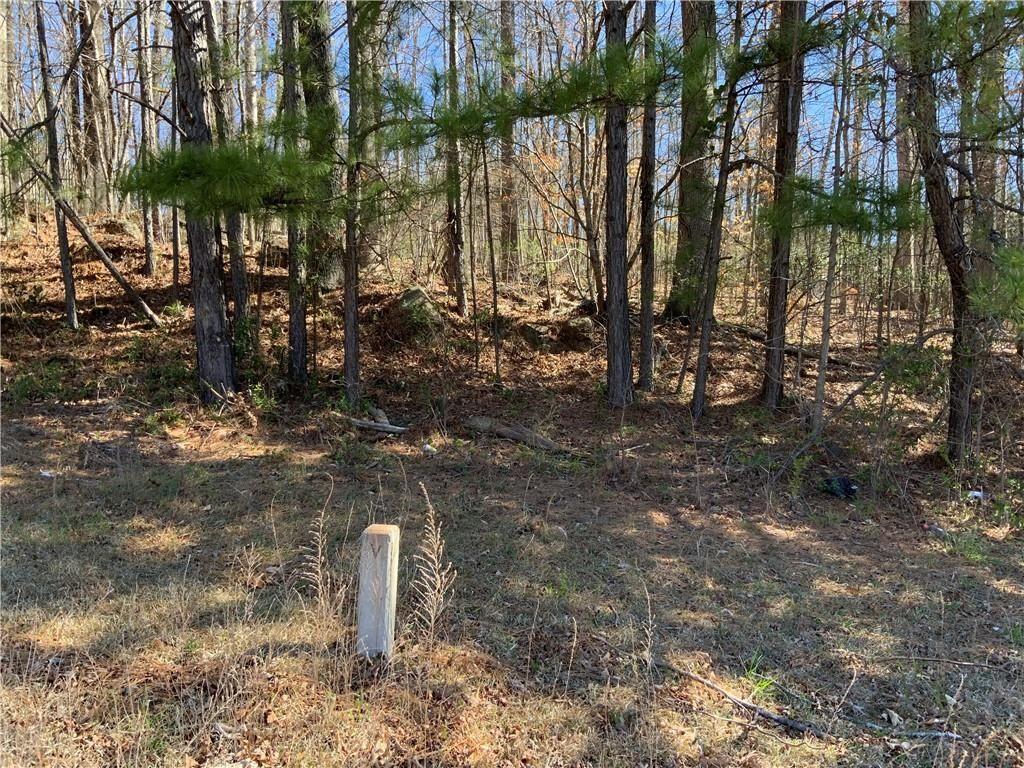 2324 Carrington Drive