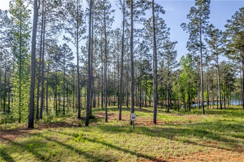 Vacant Land For Sale - 203 Falls Lane<br/> Milledgeville, GA 31061
