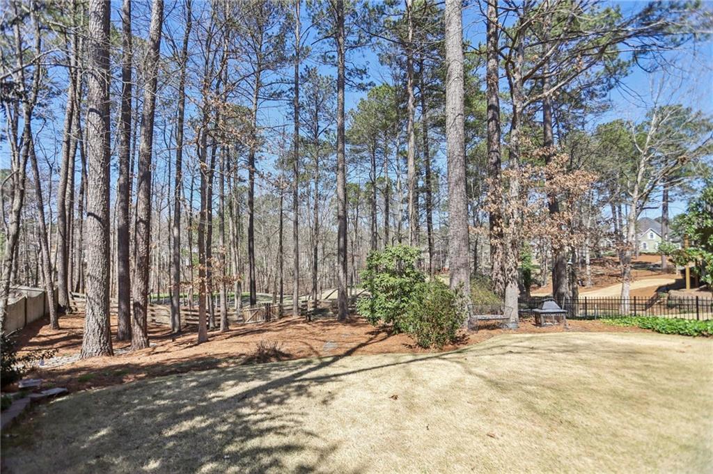 106 Birchwood Pass, Canton, Georgia image 41