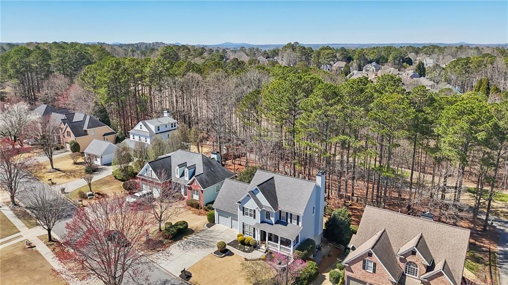 106 Birchwood Pass, Canton, Georgia image 48