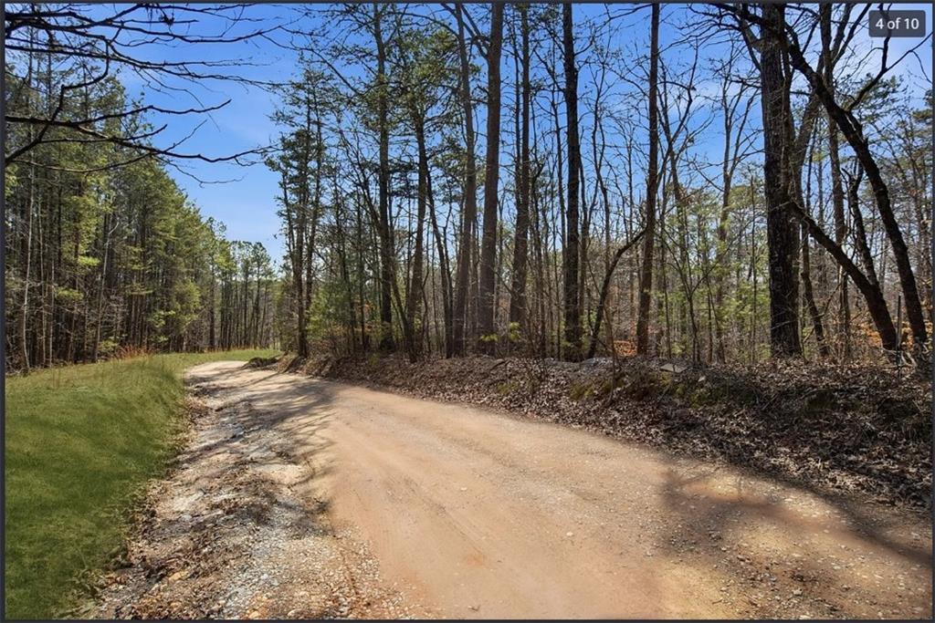 64 Bull Gap Road
