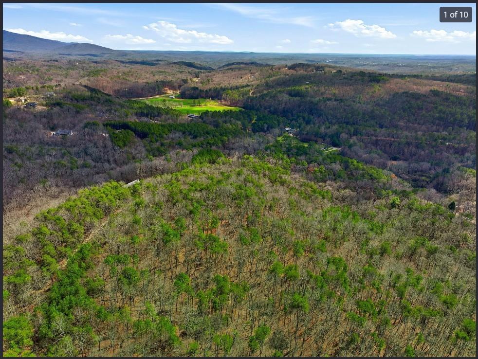 Photo of 64 Bull Gap Road, Talking Rock, GA 30175 (MLS # 7840595)