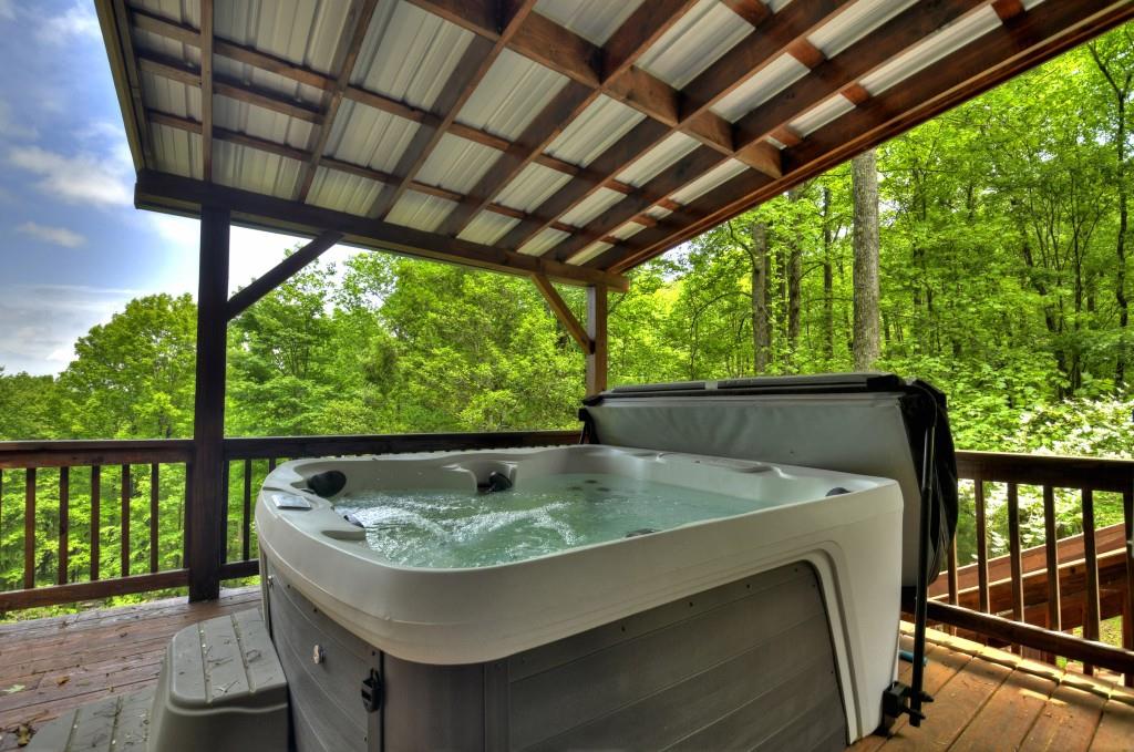 384 Mountain Highlands Court, Blue Ridge, Georgia image 36