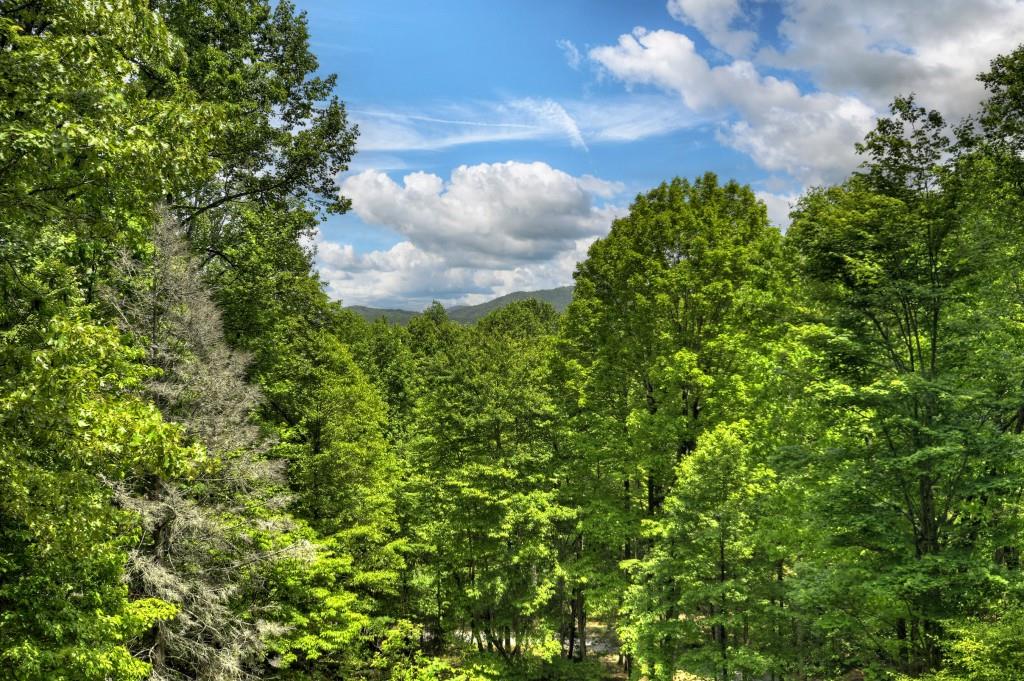 384 Mountain Highlands Court, Blue Ridge, Georgia image 50