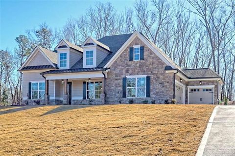 162 Northern Spy Drive Clarkesville GA 30523