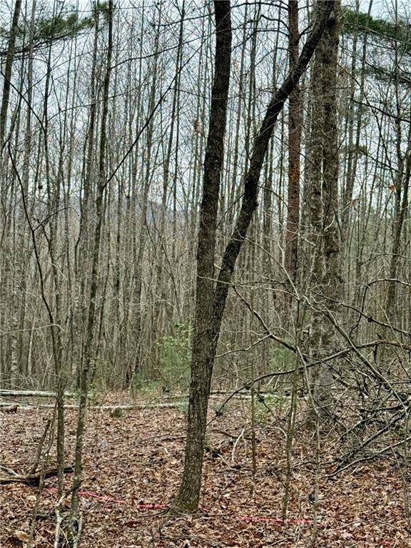 807 East Ridge Lane