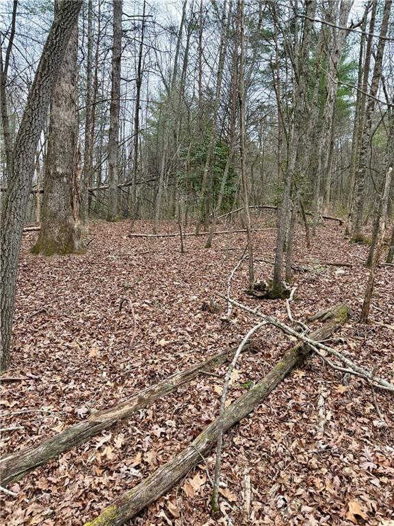 807 East Ridge Lane