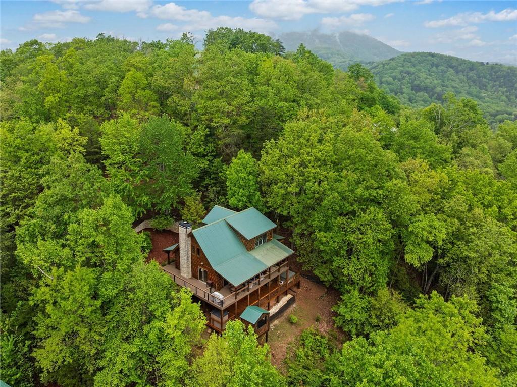 399 Ranch Mountain Dr Dr, Dahlonega, Georgia image 44