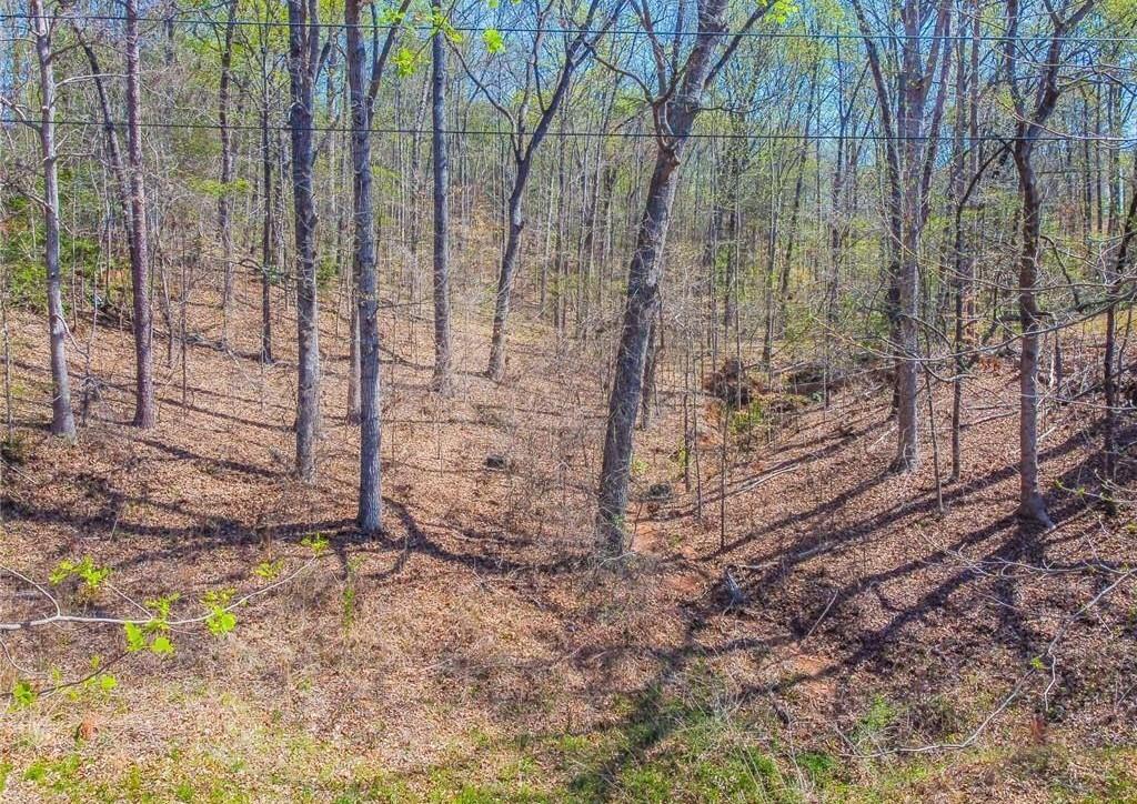 Photo of 0 Arrow Lane, Lavonia, GA 30553 (MLS # 7840980)