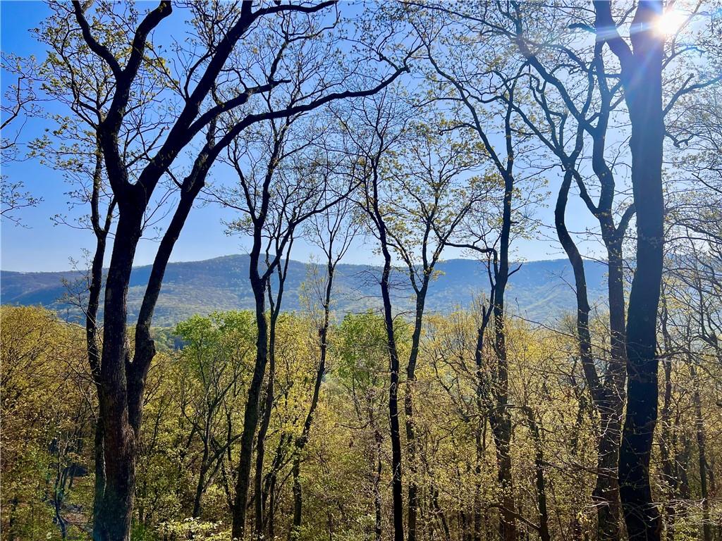 190 S View Trail, Jasper, Georgia image 2