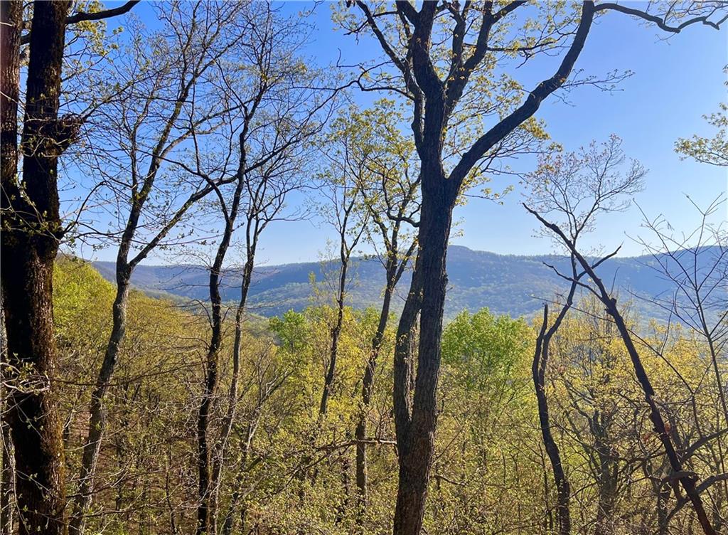 190 S View Trail, Jasper, Georgia image 7