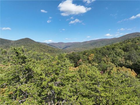 Vacant Land For Sale - TRACT3 Turniptown Road<br/> Ellijay, GA 30536