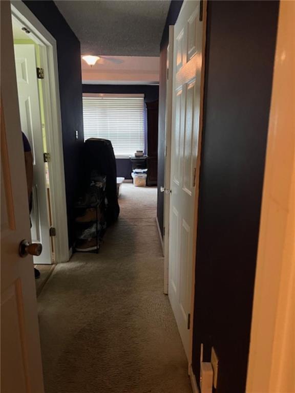135 Chadwick Drive, Macon, Georgia image 16