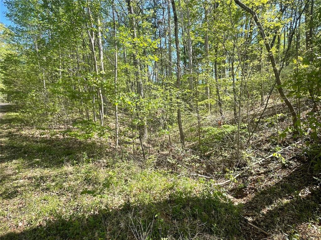 174 Navajo Trail, Martin, Georgia image 6