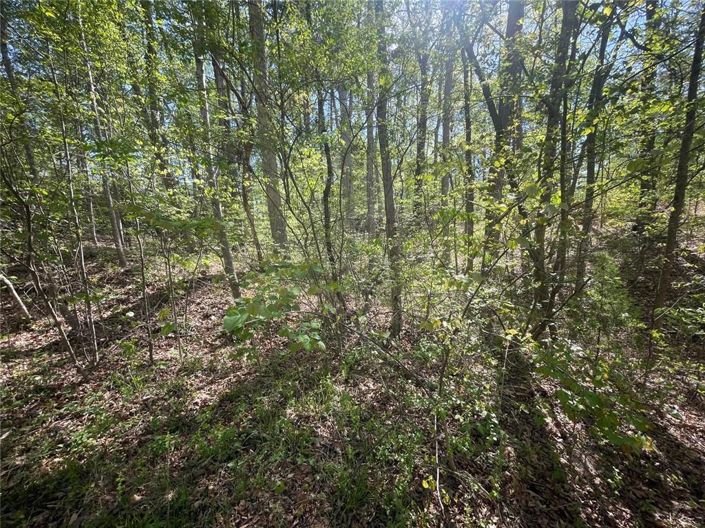 174 Navajo Trail, Martin, Georgia image 3