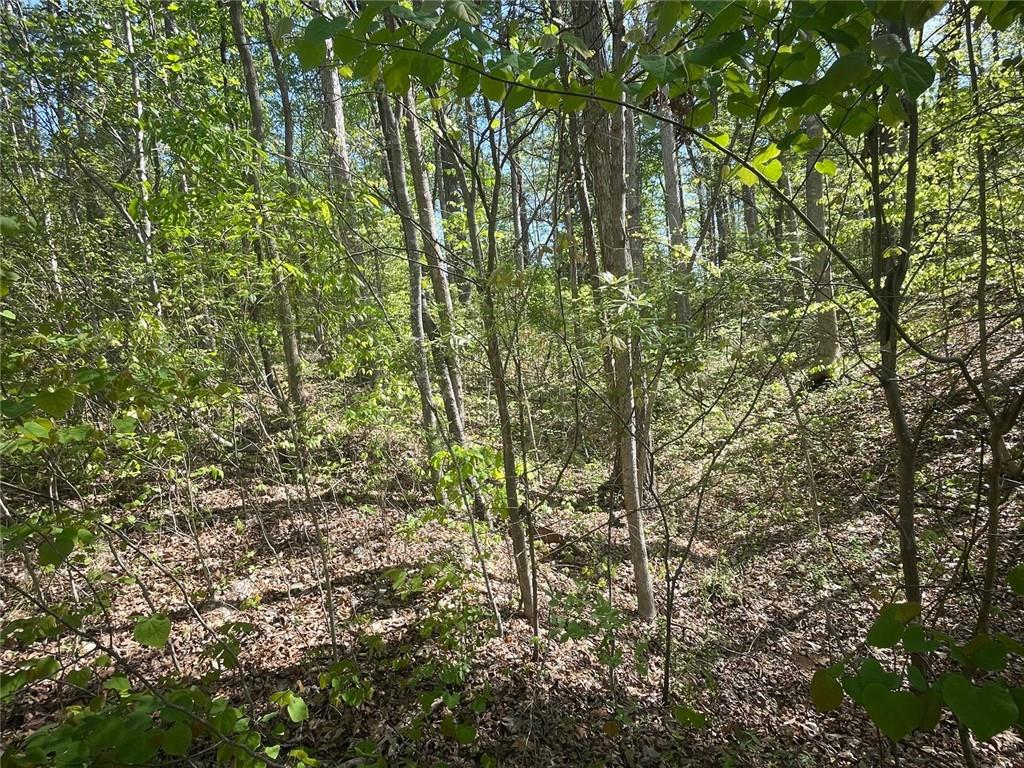174 Navajo Trail, Martin, Georgia image 4