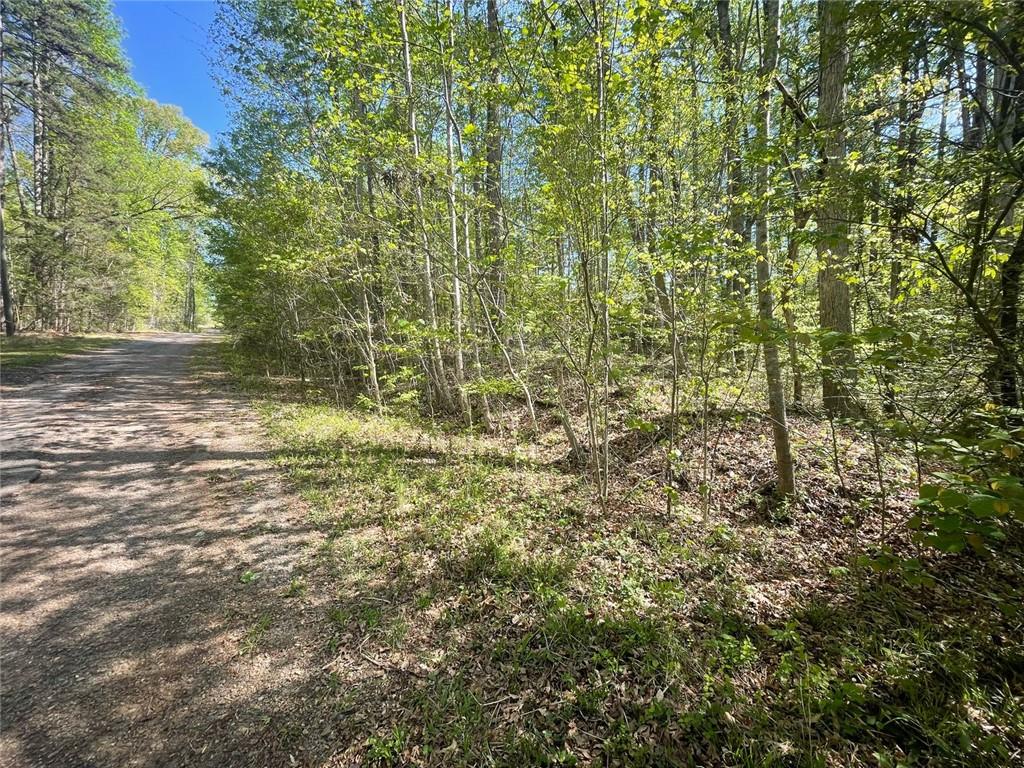 174 Navajo Trail, Martin, Georgia image 2