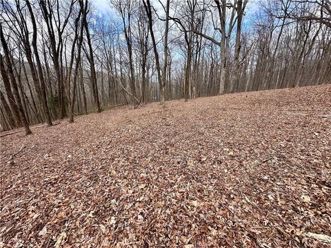 Vacant Land For Sale - 46 Highlands Parkway<br/> Jasper, GA 30143