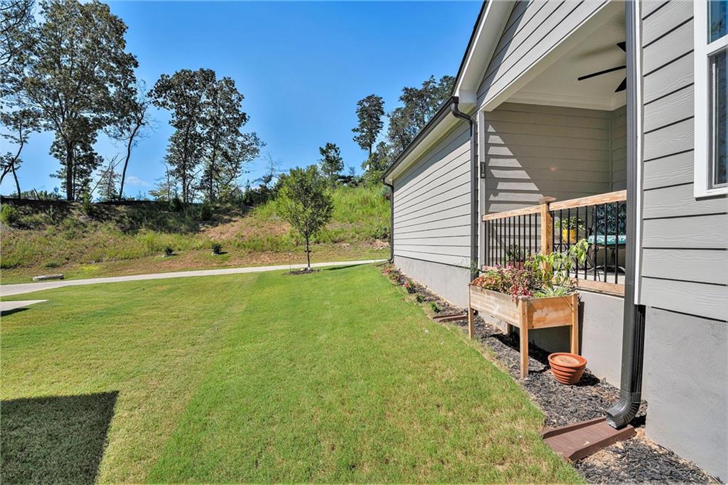 328 Creek Wood Park Drive, Ball Ground, Georgia image 30