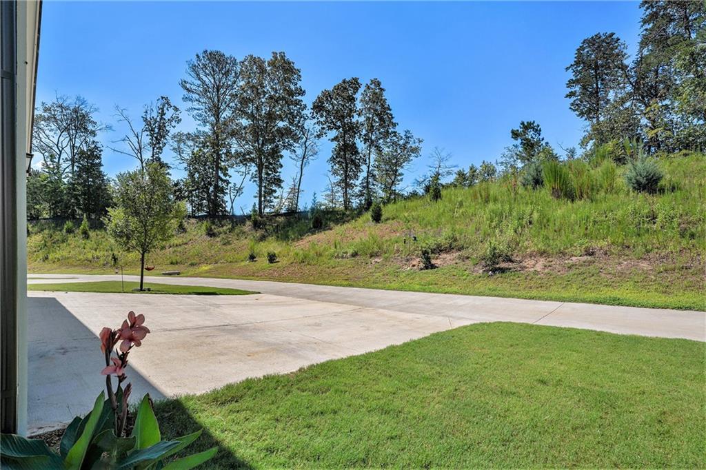 328 Creek Wood Park Drive, Ball Ground, Georgia image 32