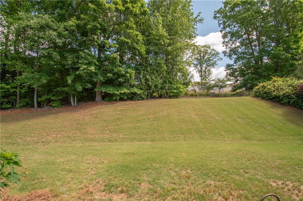 265 Renwick Drive, Senoia, Georgia image 39