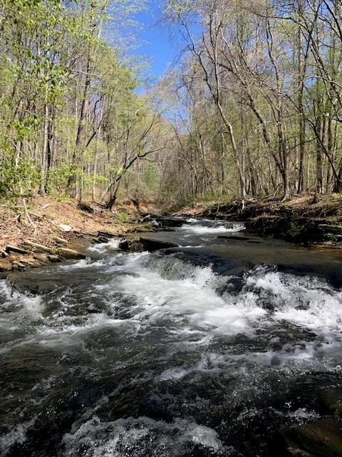 Lot671 Valley View Trail, Jasper, Georgia image 31