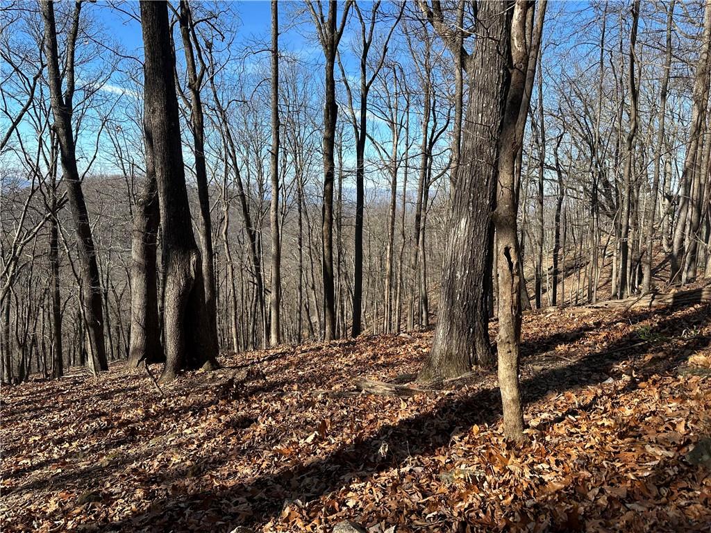 Lot671 Valley View Trail, Jasper, Georgia image 3