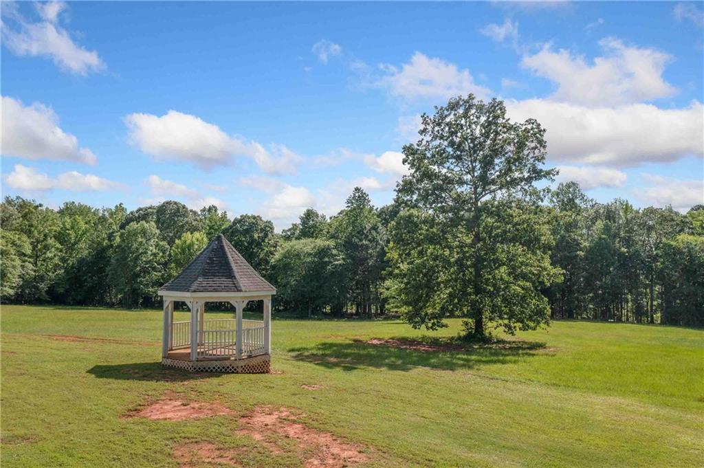 1481 Highway 85 Connector, Brooks, Georgia image 44