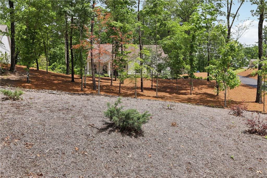 33 Cedar Summit, Marble Hill, Georgia image 39