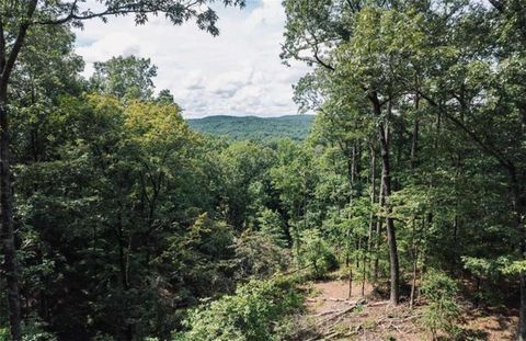 Vacant Land For Sale - LT 314 Pebble Trace<br/> Talking Rock, GA 30175