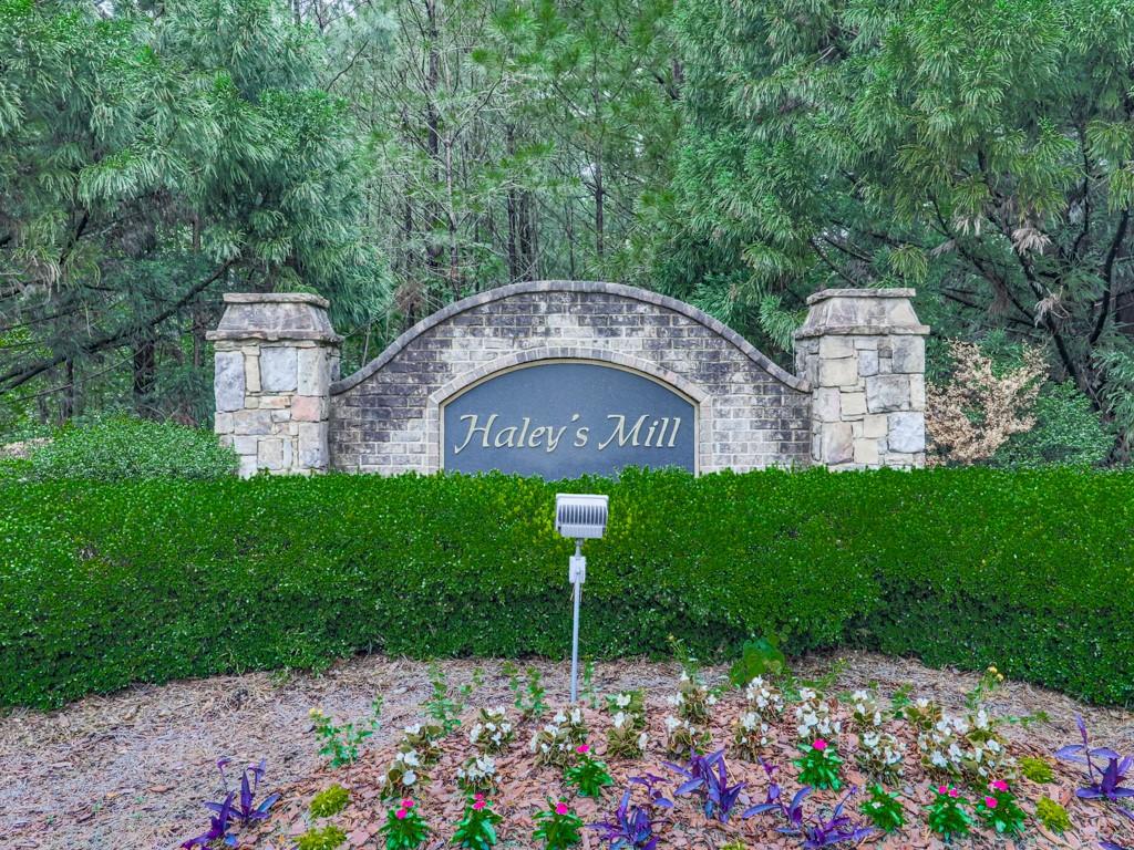 215 Haleys Court, Woodstock, Georgia image 47