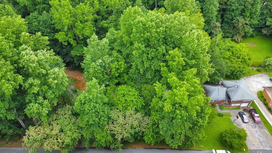 Welcome to an extraordinary opportunity in Marietta! Nestled on 1.2 acres, this hidden gem is the perfect site to build your private retreat. Enjoy the tranquility and privacy of your personal oasis while being just moments away from abundant shopping and dining options, as well as convenient access to I-75, I-575 and, Town Center Mall. Discover the boundless potential of this property today!