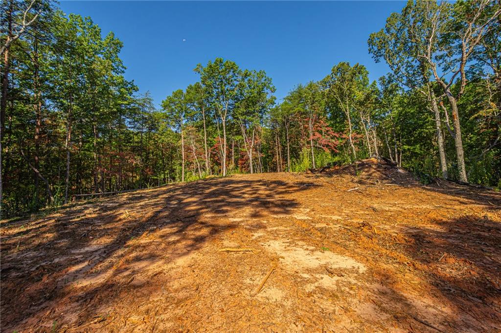 00 Ridgeway Road, Dahlonega, Georgia image 17